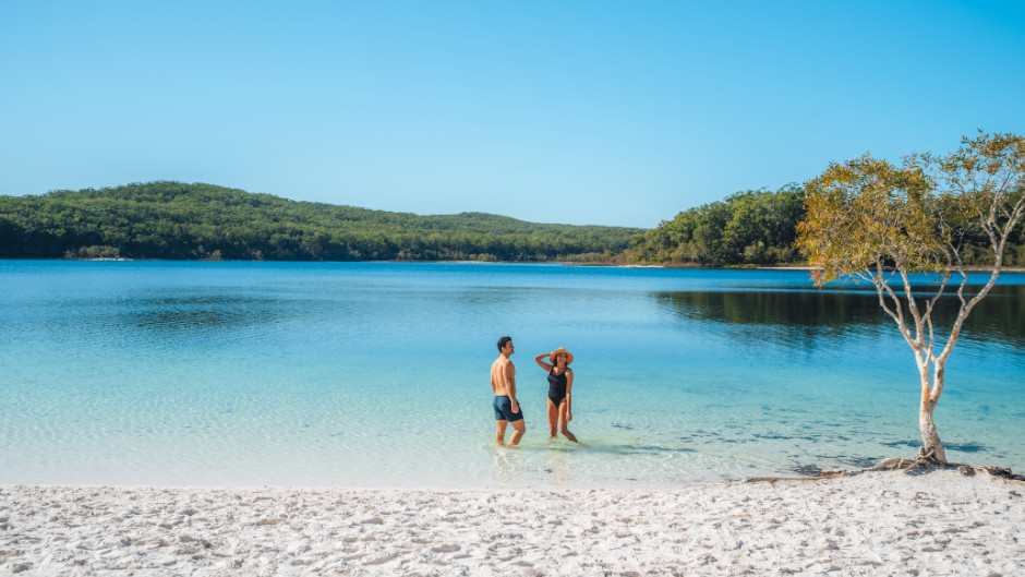 Discover why K’Gari (Fraser Island) is a World Heritage treasure and a favourite spot for travellers! With ancient, tall rainforests growing from sand, crystal-clear freshwater lakes