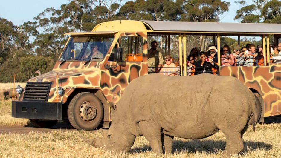 Werribee Zoo & Werribee Mansion Tour