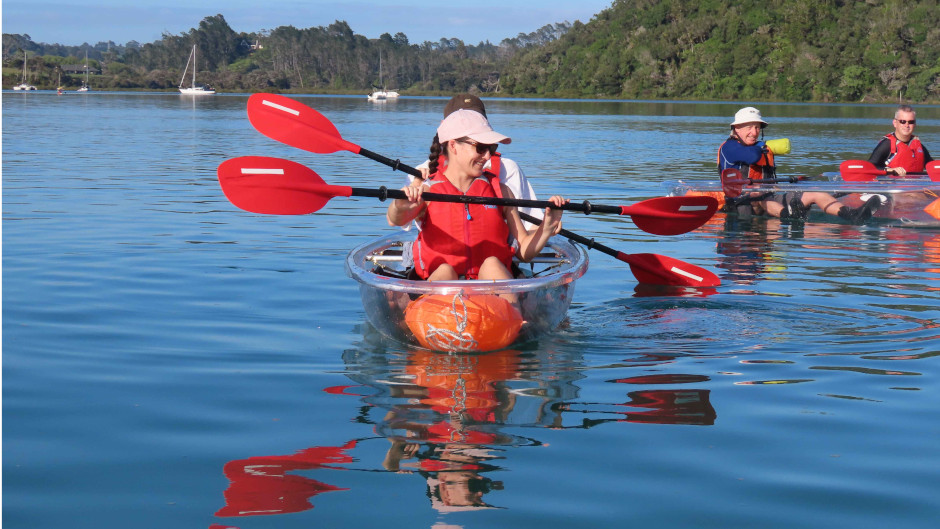 Auckland Kayak Deals