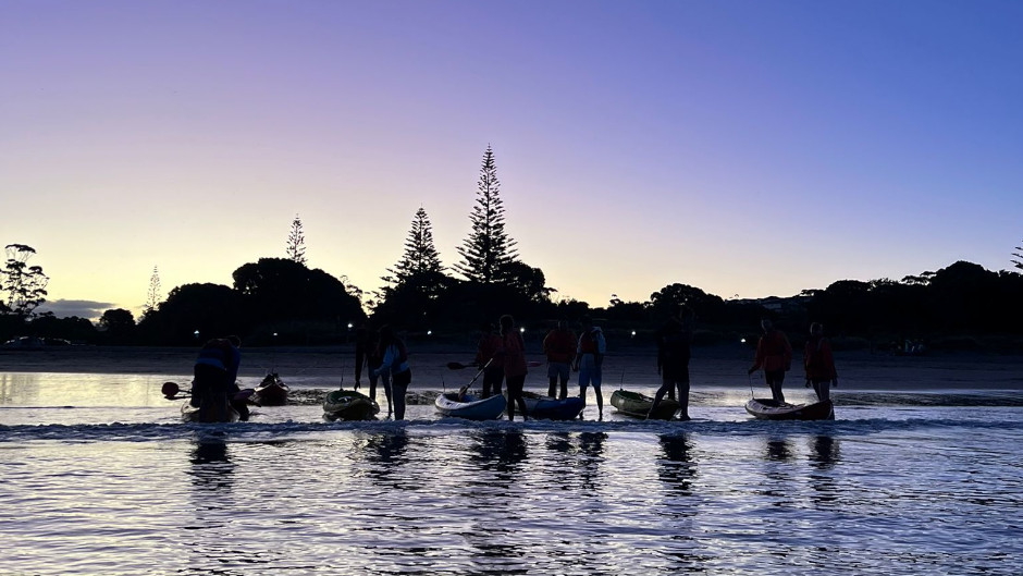 Auckland Kayak Deals