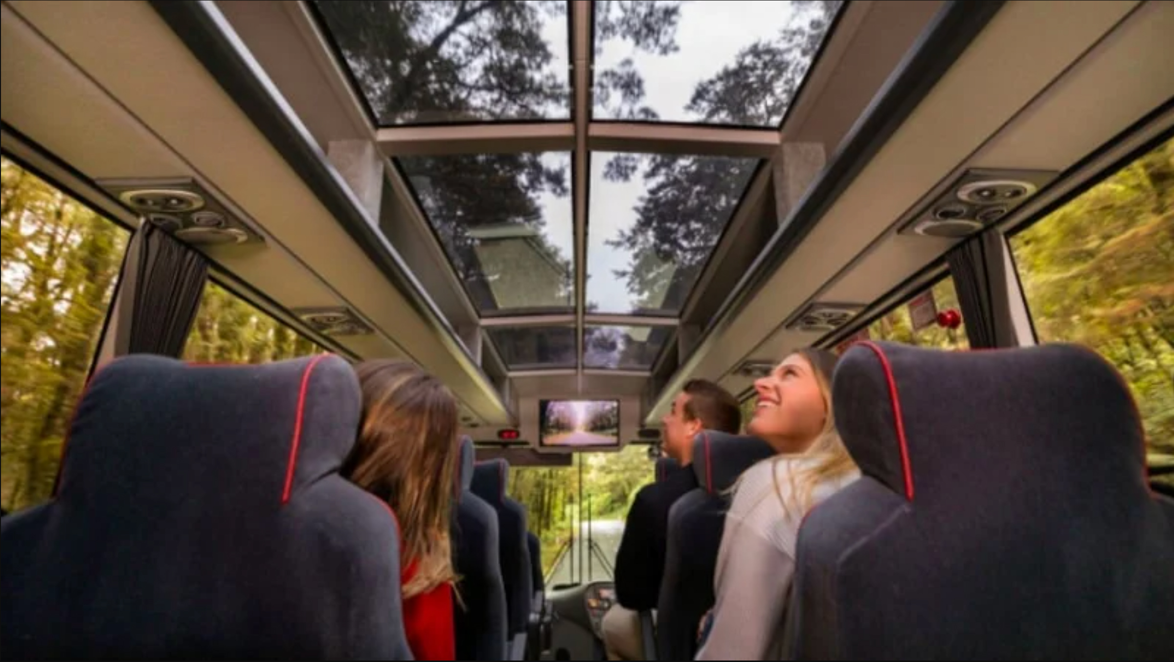 Milford Sound Coach from Queenstown & Te Anau