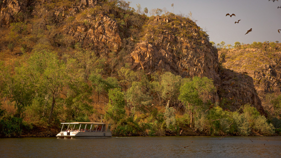 Experience the stunning beauty and rich culture of the Northern Territory on the Nitmiluk Gorge and Edith Falls Full Day tour! 
