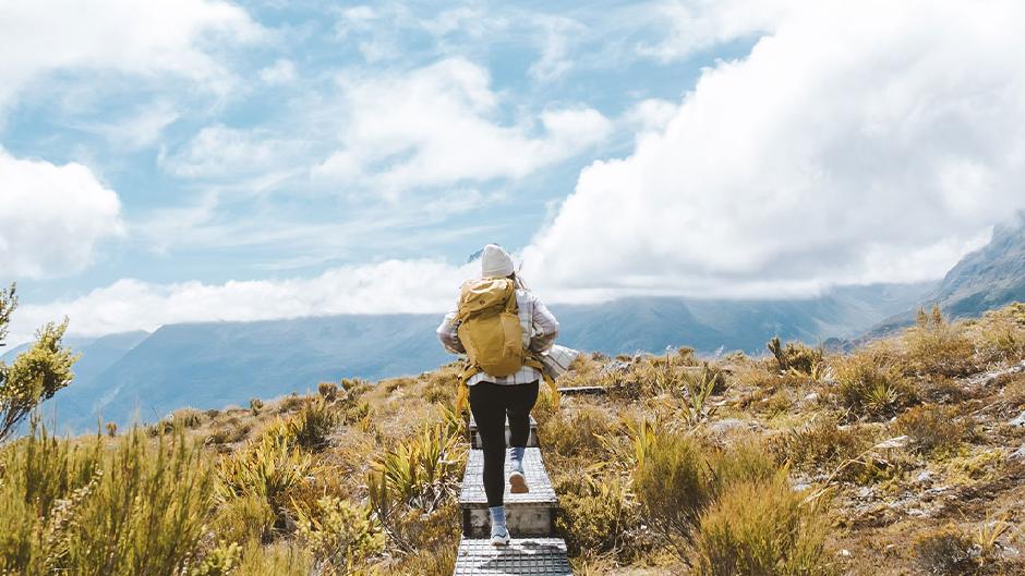 Routeburn Track to Key Summit