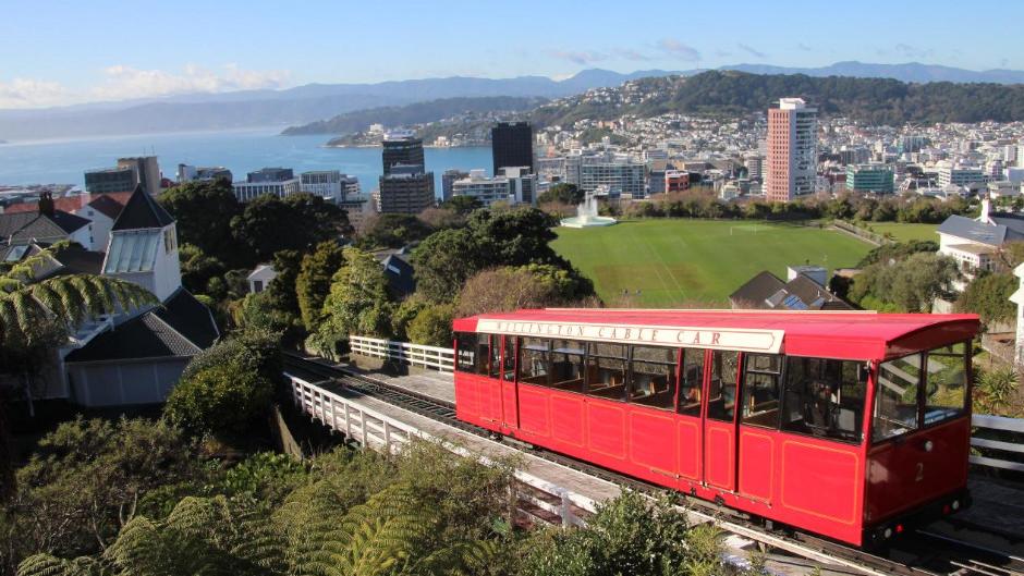 Discover Wellington - 3 Hrs City Highlights Tour