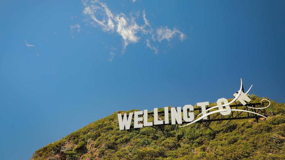 Discover Wellington Tour Promotions