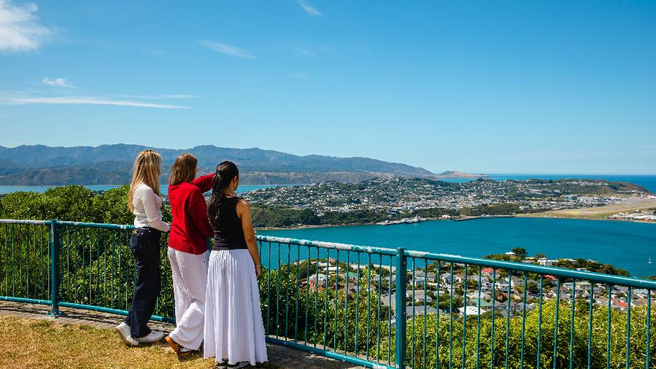 Discover the best of Wellington with a 3-hour City Highlights Tour,  a journey that brings its stories to life! 