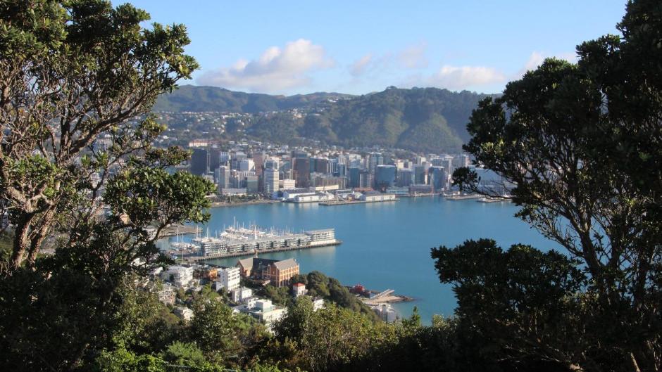 Discover Wellington Deals