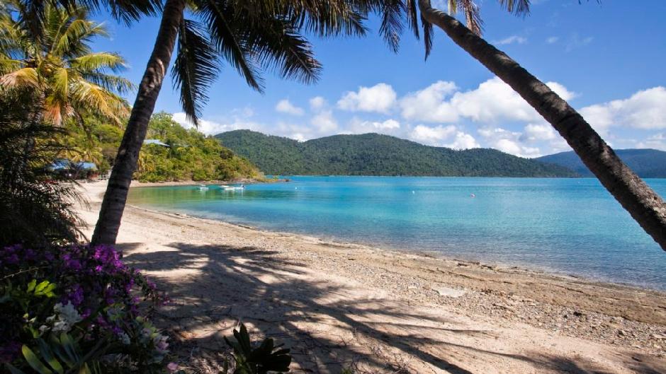 Discover Palm Bay Resort in the Whitsunday Islands with ZigZag Whitsundays New Twighlight Cruise
This is the NUMBER #1 Cruise to a Resort that departs from Airlie Beach
