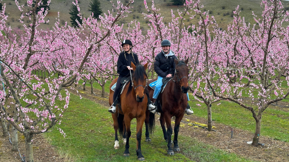 family horse treks