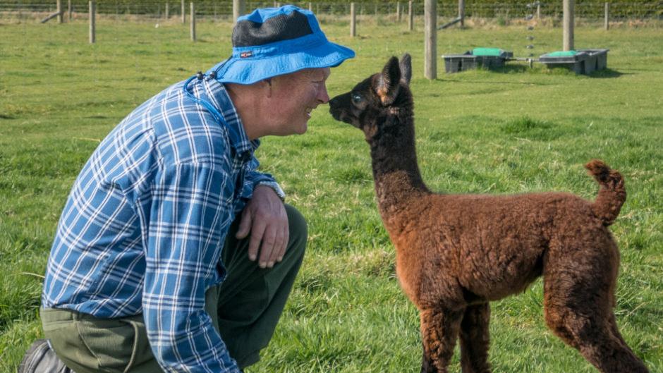 Be enchanted by our beautiful Alpacas with a meet, greet and feeding experience!