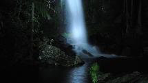 Evening Rainforest & Glow Worm Experience - Southern Cross Day Tours