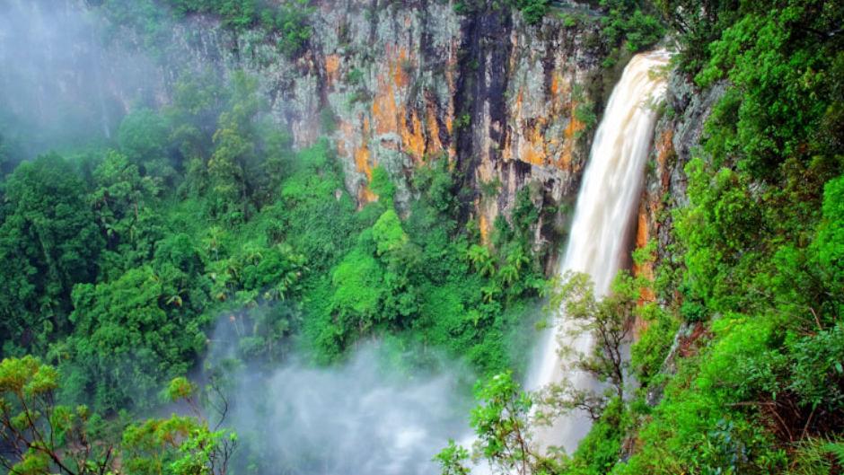 Take in all that the World Heritage Rainforests of Springbrook and Natural Bridge has to offer on our  tour.
