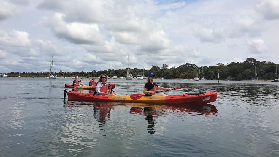 Mangroves & Mansions Kayak Tour - Noosa Paddle Sports - Gympie Terrace ...