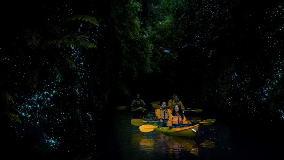 Kayak into the night to experience the natural wonder of glowworms as they light up in the dark.