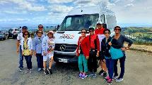 Best Of Napier Sightseeing Tour