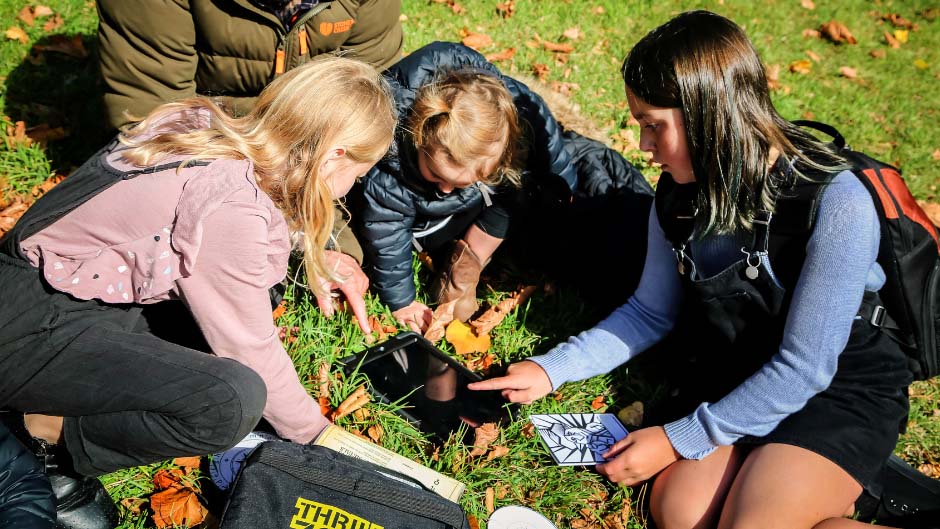 Take to the streets of Queenstown as you solve a range of clues and puzzles before time runs out!