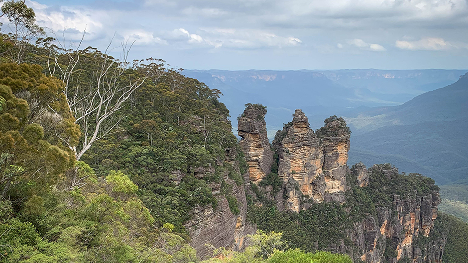 Experience a captivating, full day tour exploring the views, towns and rainforests of the Blue Mountains! 