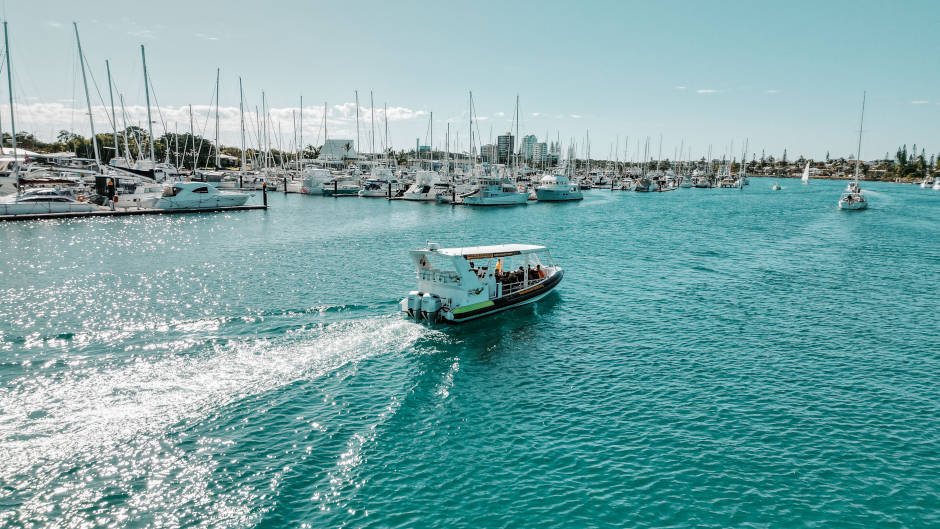 Whale Watching Mooloolaba Deals