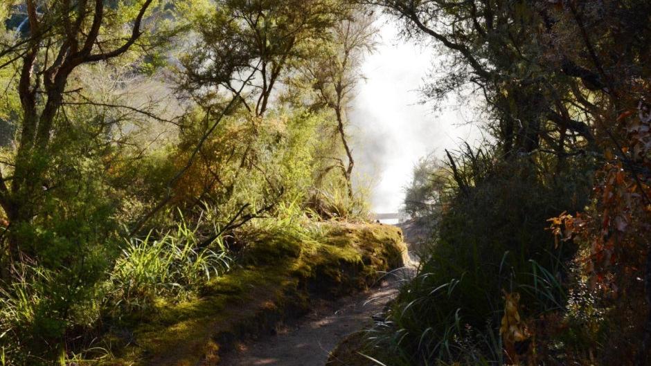 Experience the magical geothermal landscape at Orakei Korako - The Hidden Valley!
