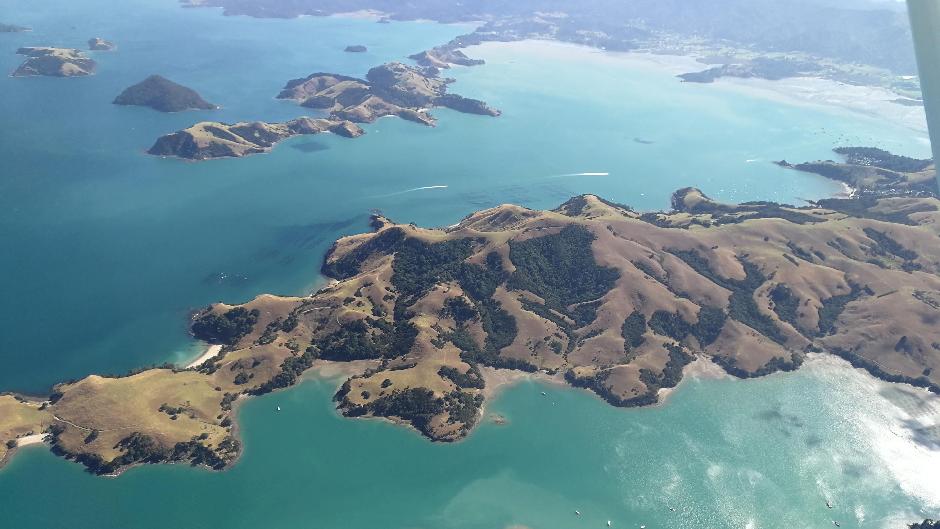 Discover the gems of Waiheke from up above on a spectacular scenic flight with Waiheke Wings!