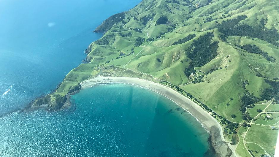 Discover Hauraki Gulf and spot whales and dolphins on an unforgettable scenic flight with Waiheke Wings!