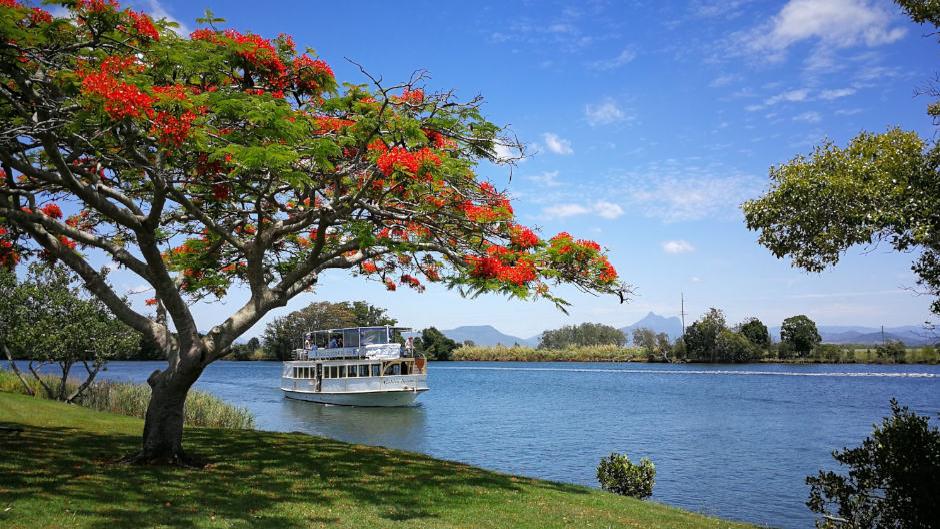 Tweed Eco Cruises River and Rainforest Cruise seafood lunch cruise