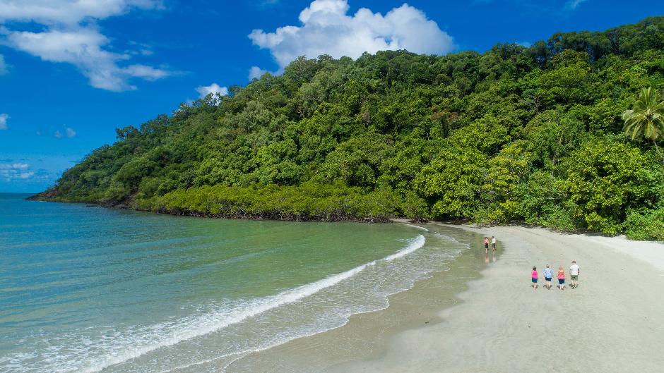 Discover the beauty of the Daintree Rainforest and Cape Tribulation region where the rainforest meets the reef!