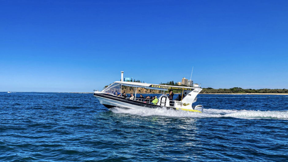 Experience a nature cruise like no other as you get up close and personal with the stunning wildlife of the Sunshine Coast on this fantastic Mooloolaba Turtle Tour! 