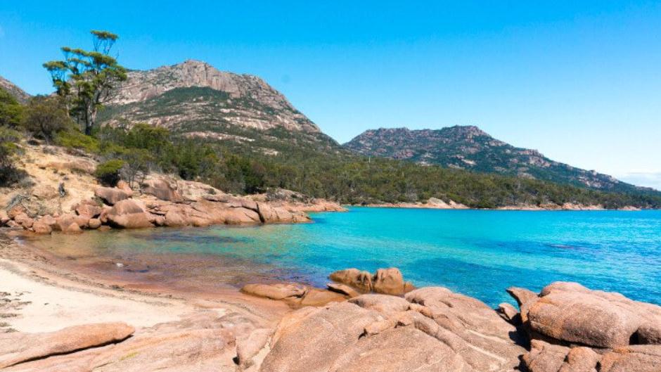 Discover the stunning Wineglass Bay as well as some of Tasmania's hidden gems on a fun, full-day guided adventure!