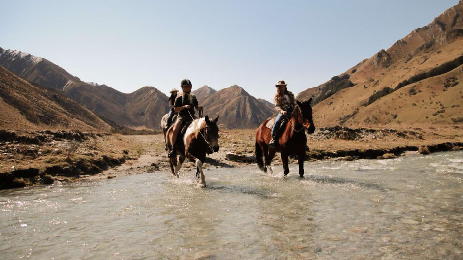 Moke Lake Horses