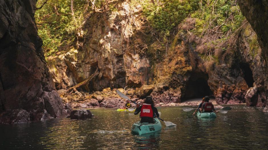 Experience the magic of Whenuakura (Donut) Island as you paddle through the entrance and into the stunning turquoise lagoon!