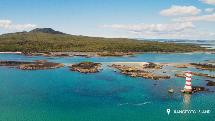 Discover Rangitoto Island - Fullers360 Ferry