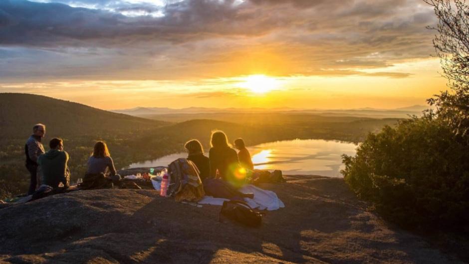 Visit some of Tasmania's top attractions on this day trip to Mount Wellington, Mount Field National Park, Bonorong Wildlife Sanctuary, and the historical town of Richmond!