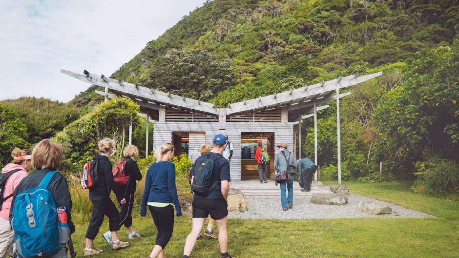 Enjoy Kapiti Island to the fullest with a ferry to either the North End of the Island, or Rangatira Point! 

 