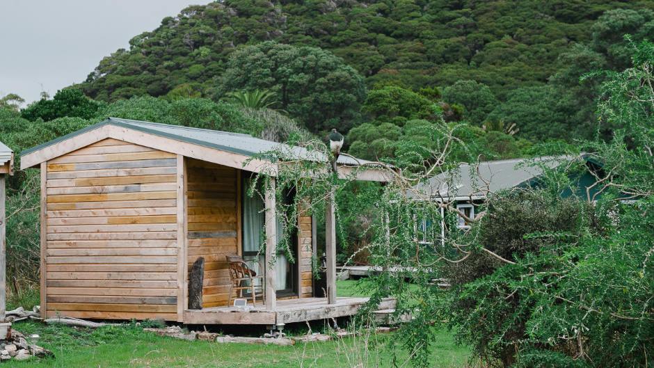 Experience an overnight stay on the beautiful Kapiti Island with 2 full days to explore and a guided Kiwi spotting walk at night.