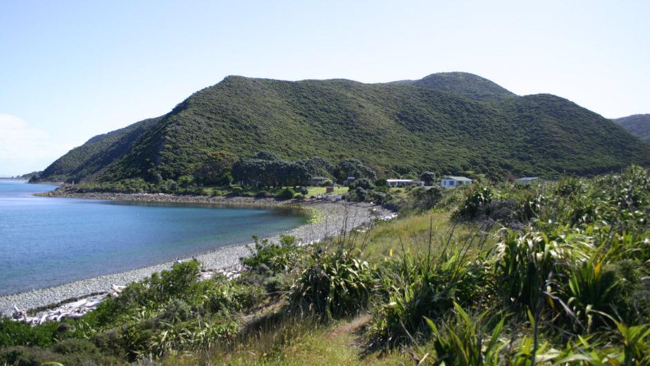 Experience an overnight stay on the beautiful Kapiti Island with 2 full days to explore and a guided Kiwi spotting walk at night.