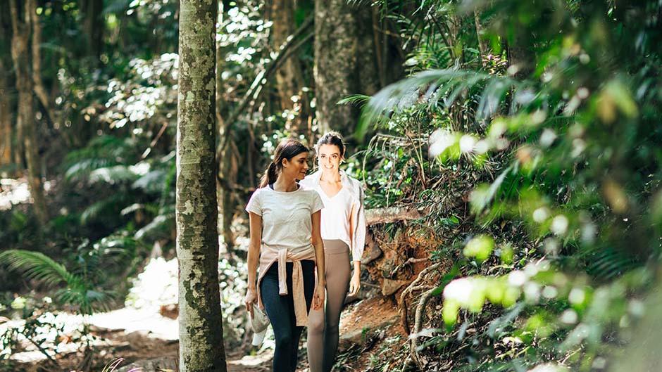 Explore Tamborine Mountain on this full day tour, experiencing the region’s local produce, stunning subtropical rainforest and amazing culture and local crafts! 