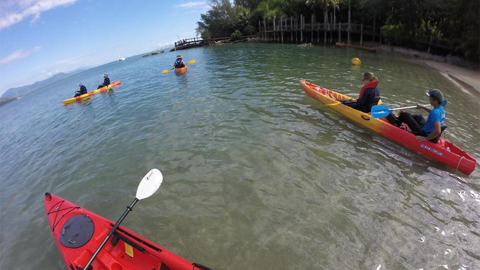 Take in the stunning sunrise and marine life on this incredible Sunrise Kayak Turtle Tour! 