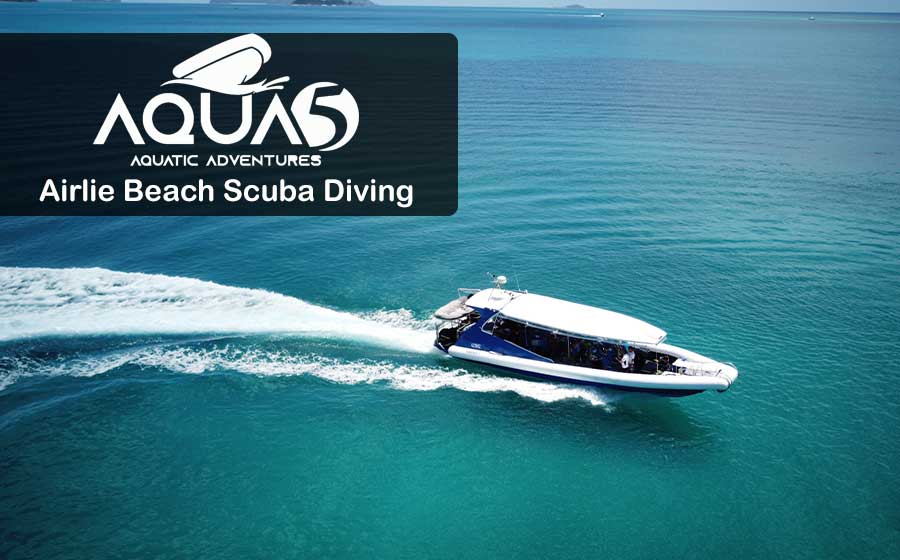 Explore the incredible waters of Whitsundays with your choice of snorkelling or scuba diving! Aqua5 is the only dedicated Airlie Beach Scuba Dive tour operator.