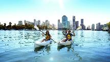 Kayak Hire - Brisbane River