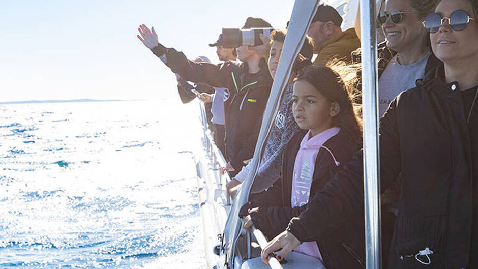 Enjoy an intimate whale-watching tour on our custom-built whale-watching boat in Sydney
