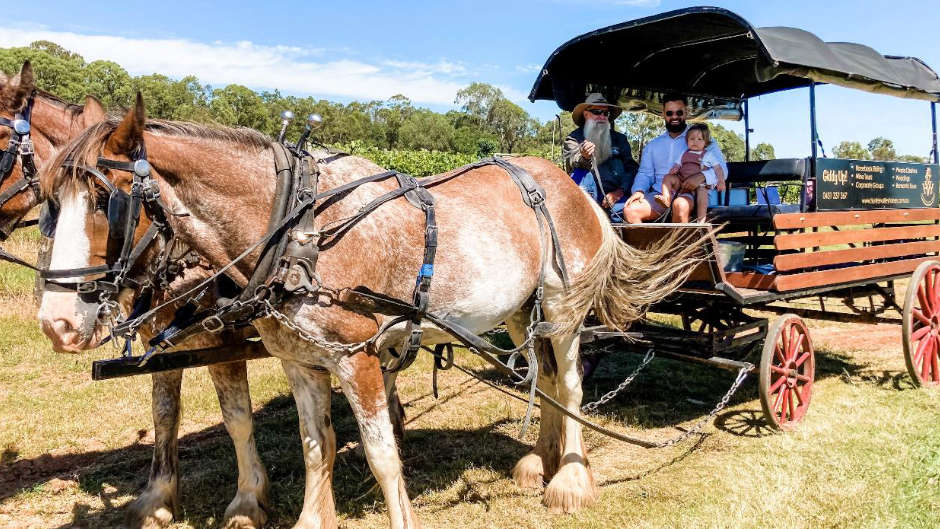 Hunter Valley Horse Carriage