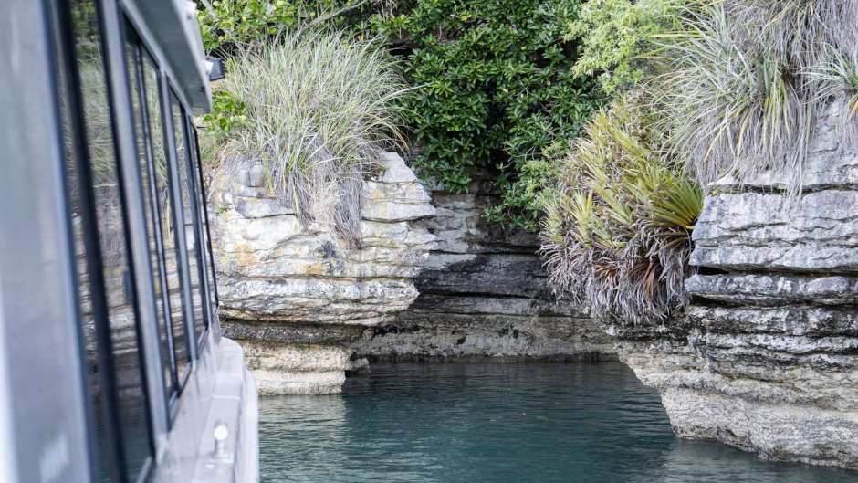 Relax and experience Raglan from the water on this stunning nature cruise! 