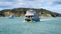 Raglan Harbour Lunchtime Cruise - 1.5 Hours