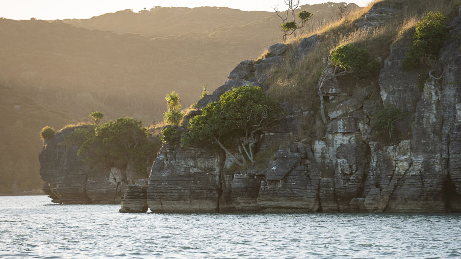 Take in Raglan and the beautiful coastline on this spectacular sunset cruise! 