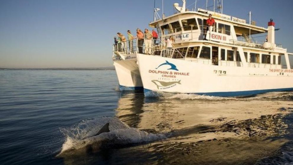 Get the perfect blend of adventure, local knowledge and stunning scenery as you discover Jervis Bay with Mate Tours! 