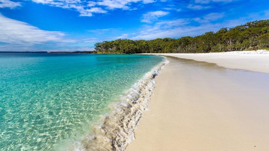 Get the perfect blend of adventure, local knowledge and stunning scenery as you discover Jervis Bay with Mate Tours! 