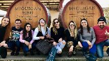 Hunter Valley Wine Tasting Tour - Departs Sydney - Mate Tours