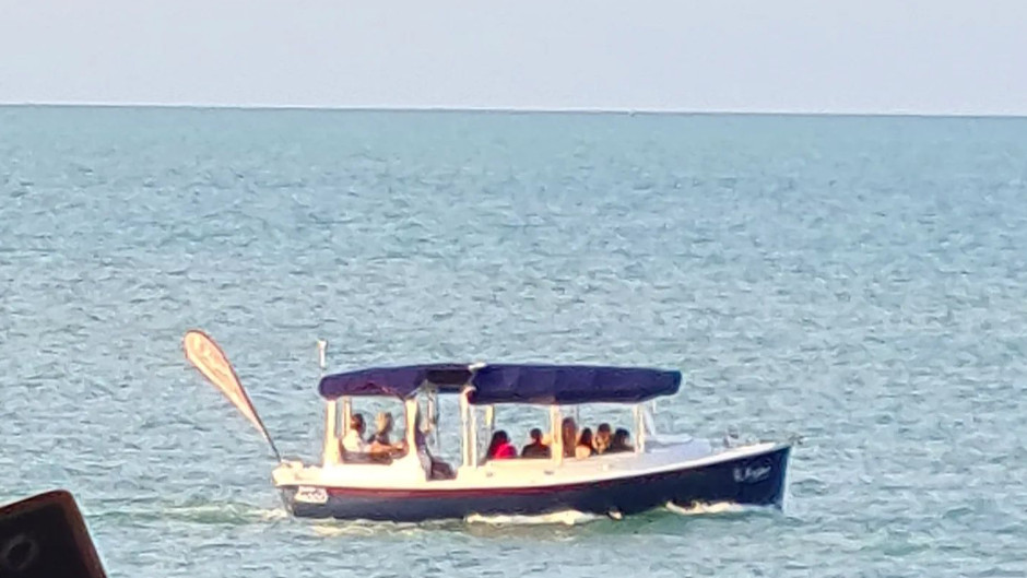 Join us for one of Airlie Beach’s most unique tours cruising the sea, meeting the local wildlife turtles and more. Take a cruise aboard our premium electric boat 'Tallulah' for an experience to remember.