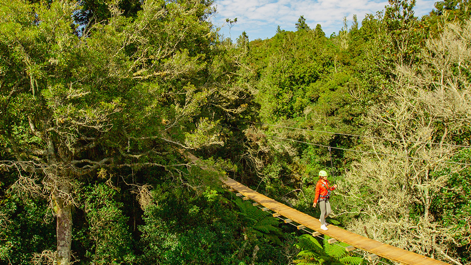 Zip through majestic NZ forests over rivers, rapids and spectacular waterfalls!
